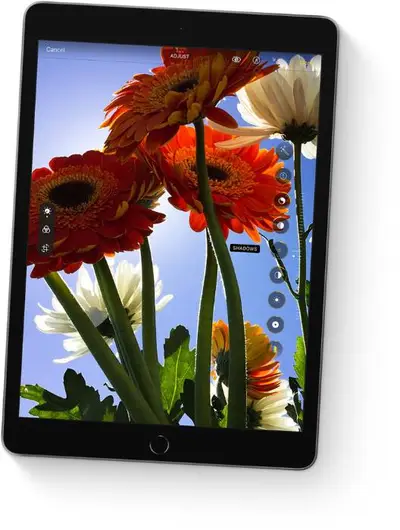 2f407d1a-cc77-40ee-85f9-290d952bb3cd.webp