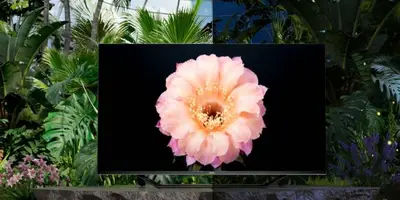Hisense TV me sensor drite adaptiv per ndricim automatik ne cdo ambient | 75Mall