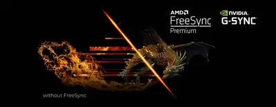 f89c2381-c6e6-4d4a-b548-ded0acc85167.webp
