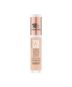 Catrice True Skin High Cover Concealer 010