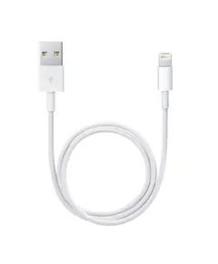 Adapter Apple LIGHTNING - USB (0.5 M) / White