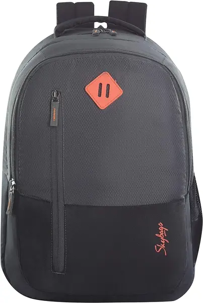 Arthur laptop backpack (H) grey