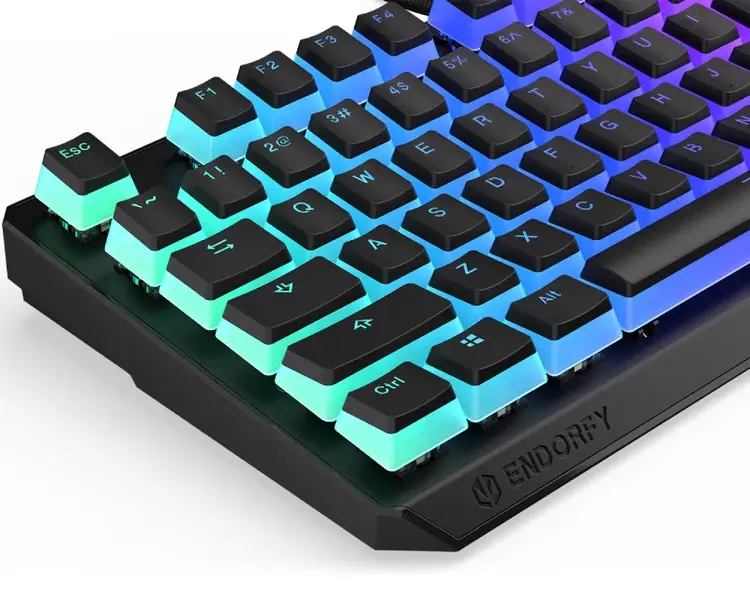 Tastierë ENDORFY (EY5A004) Thock TKL Pudding RGB / Black